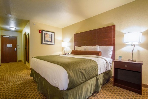 Cobblestone Inn & Suites - Corry image 33